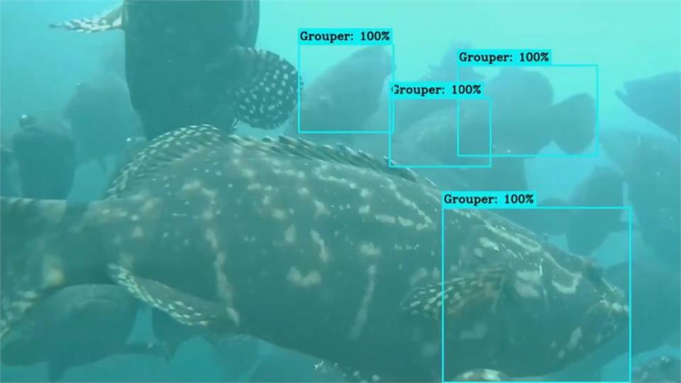 AIOT智慧養殖監測系統　提升育成率　科技養魚拚出口競爭