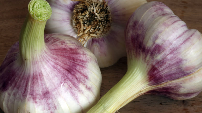 bulbs of purple garlic