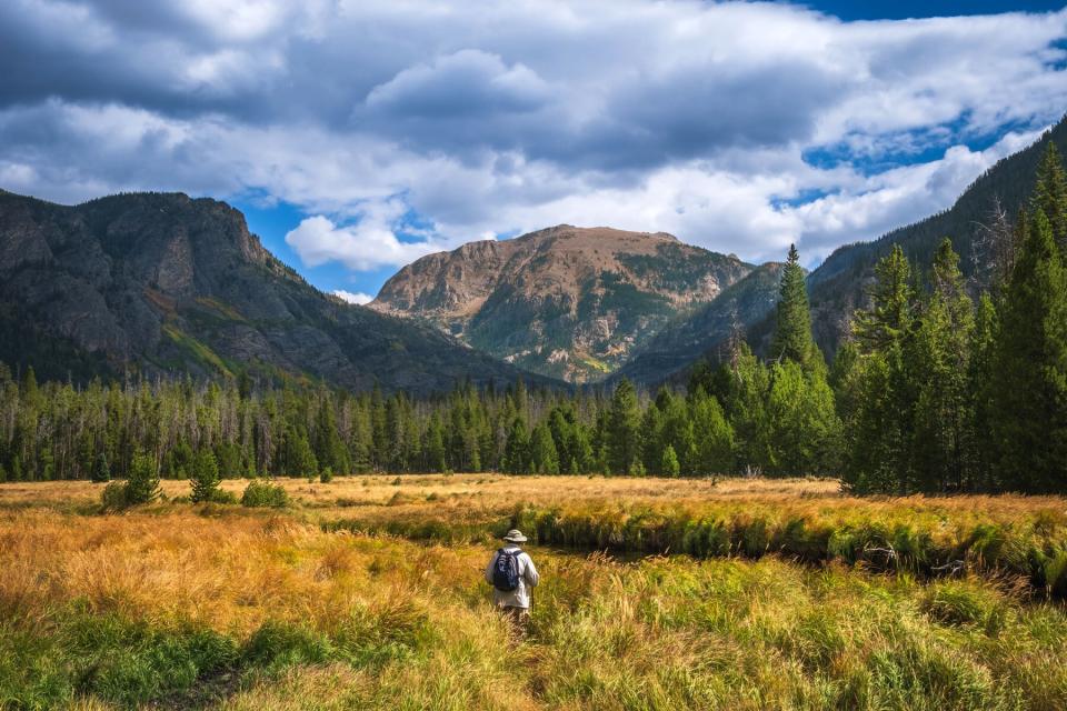 Beautiful view of meadow in Rocky Mountain National Park in autumn; mountains in background