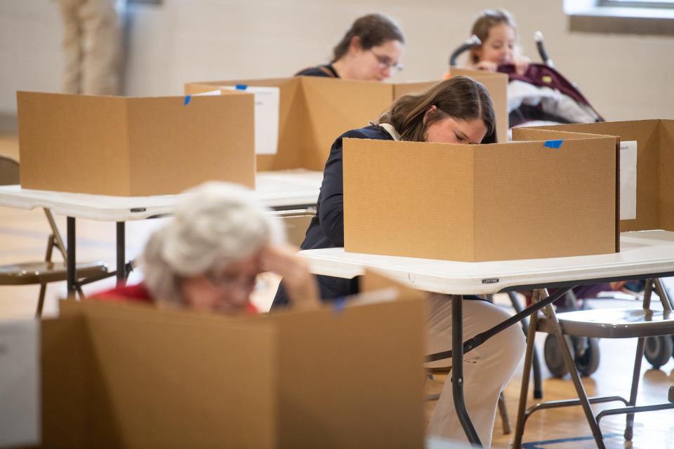 A group of Tennessee voters is challenging a law over signs in polling places.