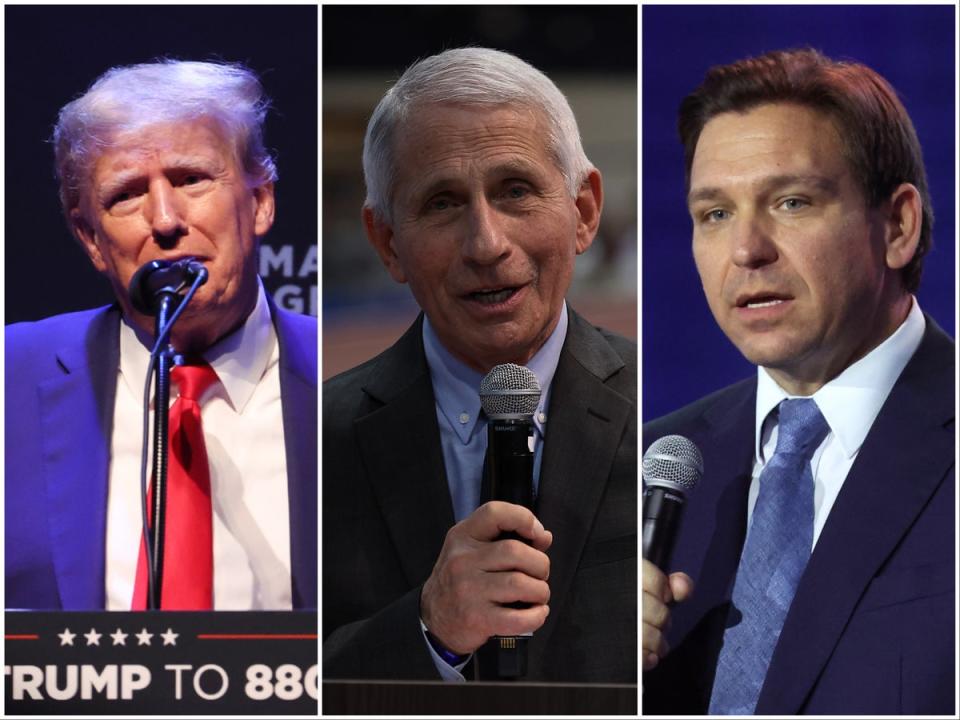 Donald Trump, Anthony Fauci, and Ron DeSantis (Getty Images)