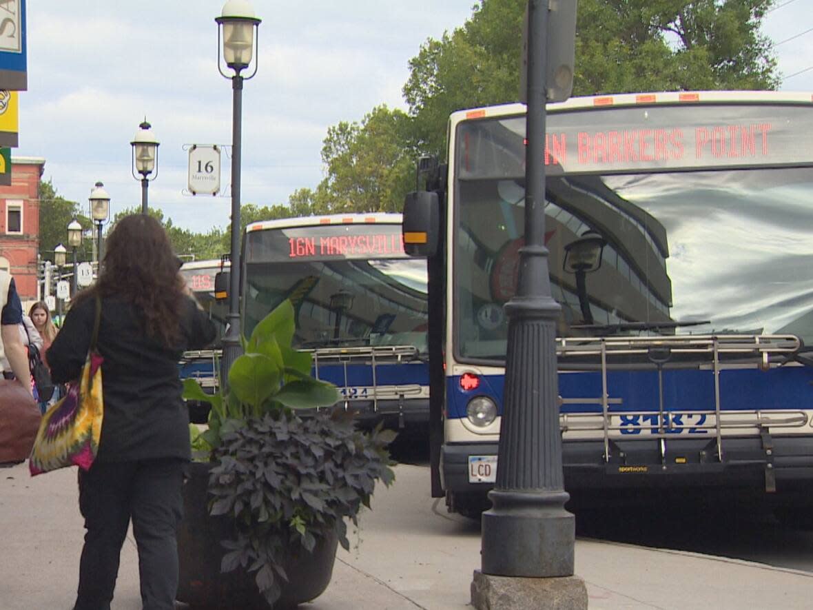 The City of Fredericton says it will no longer purchase any buses powered solely by diesel as it moves ahead on its commitment to emit no carbon dioxide in its operations by 2050. (Ed Hunter/CBC - image credit)