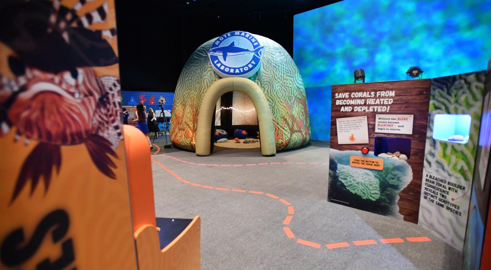 Mote Marine's new Mystery Reef exhibit sends kids on a scavenger hunt to gather clues about what is hurting coral reefs. Guests can whack invasive species like the lionfish, left, enter a giant inflatable coral, center, and learn how to revive overheated corals, right.