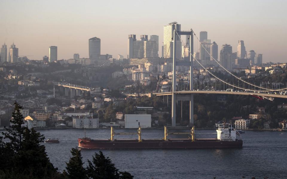 Cargo ship Zante, carrying Ukranian grain, sails on the Bosphorus Strait in front of the 15 July Martyrs Bridge, in Istanbul, on Wednesday -  Shutterstock/ERDEM SAHIN/EPA-EFE/Shutterstock