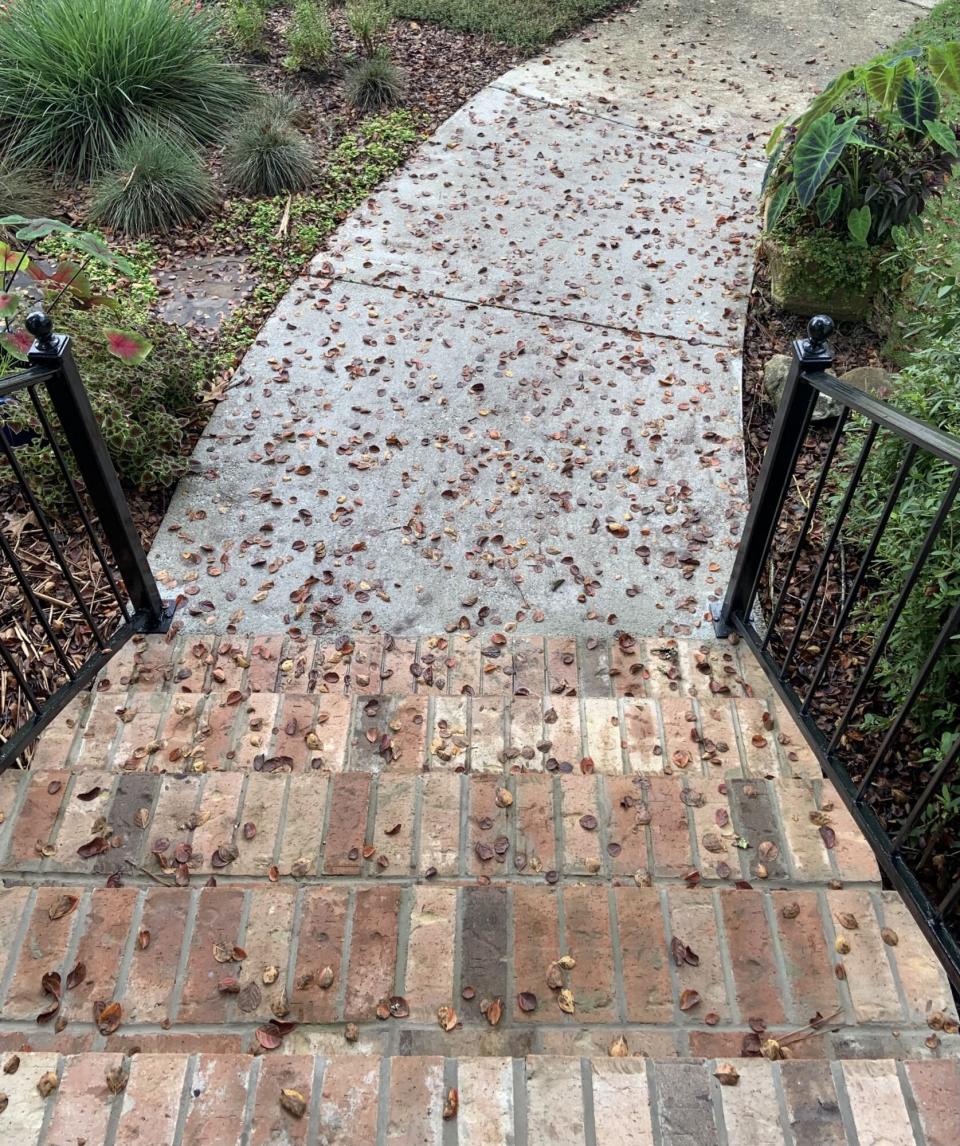 Crepe Myrtle Fallen Leaves on Front Porch