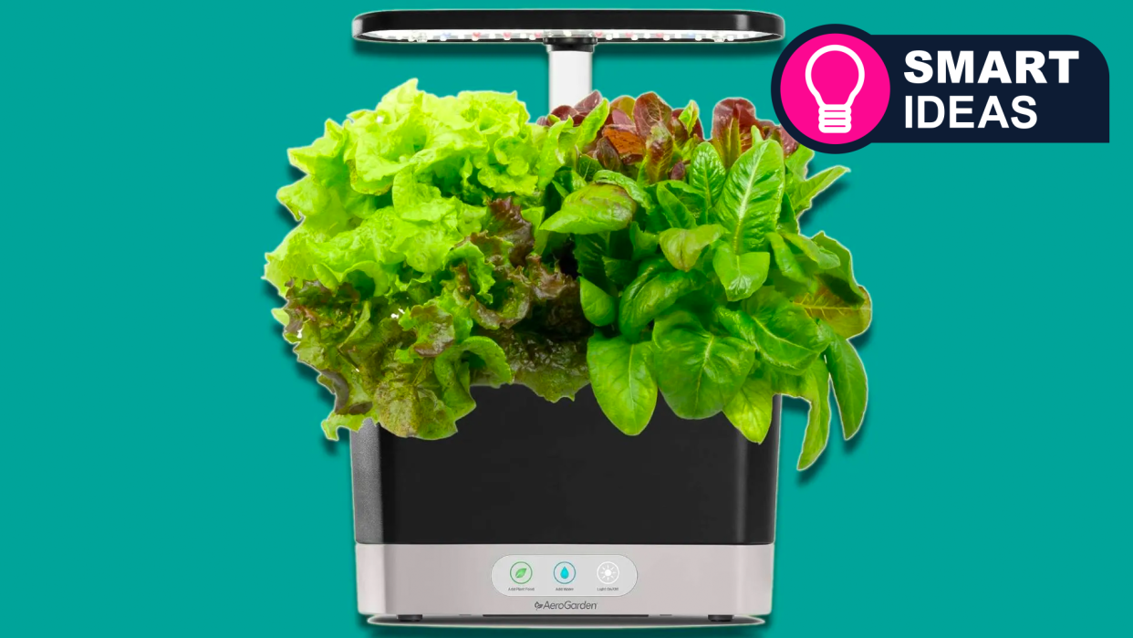  AeroGarden planter on a teal background 