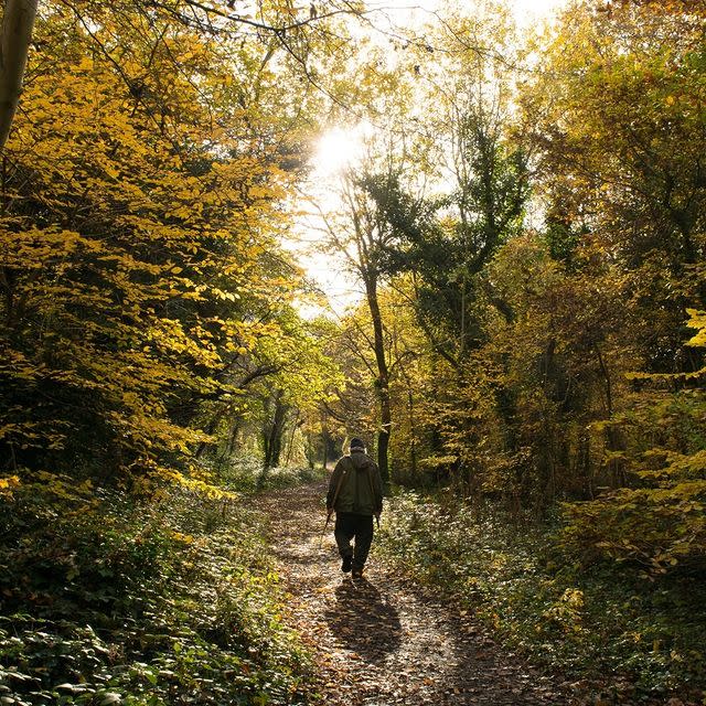 <p>When the hustle of the city gets overwhelming, take the overground to Sydenham Hill and walk along the leafy paths of its neighbouring ancient <a href="https://www.wildlondon.org.uk/nature-reserves/sydenham-hill-wood-and-coxs-walk" rel="nofollow noopener" target="_blank" data-ylk="slk:Sydenham Hill Wood;elm:context_link;itc:0;sec:content-canvas" class="link ">Sydenham Hill Wood</a>, also known as London Wildlife’s Trust’s oldest nature reserve. Expect wildlife aplenty - it’s home to 200 species of trees and plants and woodland fauna, such as bats, woodpeckers and tawny owls. </p><p><a href="https://www.instagram.com/p/CFcSw0rHxQU/?utm_source=ig_embed&utm_campaign=loading" rel="nofollow noopener" target="_blank" data-ylk="slk:See the original post on Instagram;elm:context_link;itc:0;sec:content-canvas" class="link ">See the original post on Instagram</a></p>