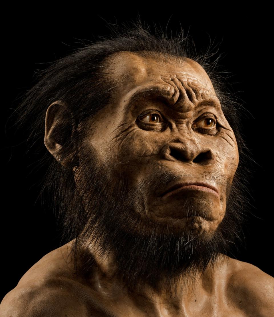 Reconstrucción de la cabeza del Homo naledi realizada por el paleoartista John Gurche, que dedicó 700 horas a recrearla a partir de escáneres óseos (Mark Thiessen/National Geographic)