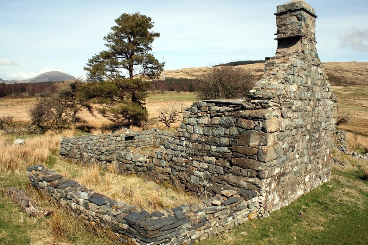 A ruined farmhouse remains next to the Roman fort at Tomen y Mur (Jeff Buck)