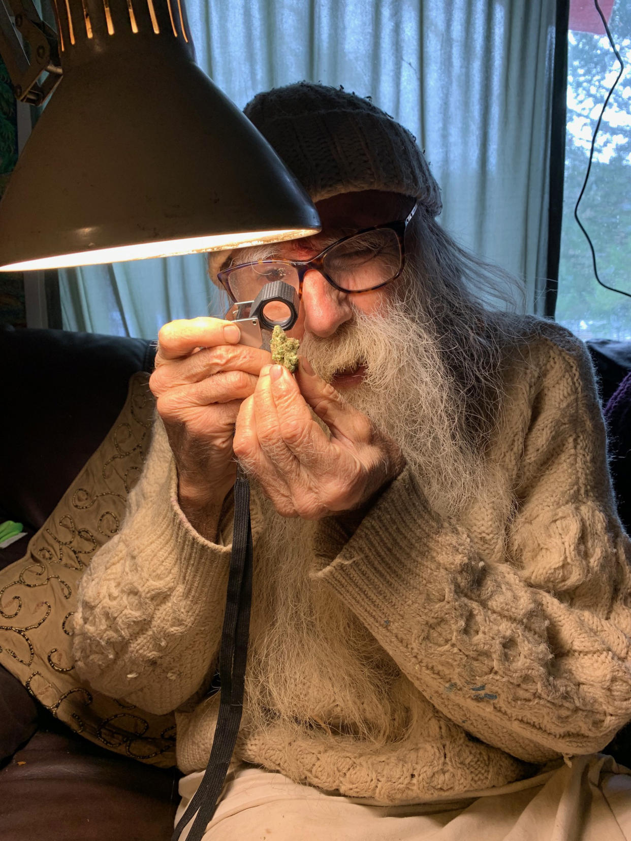 Swami Chaitanya examines cannabis samples (Alicia Victoria Lozano / NBC News)