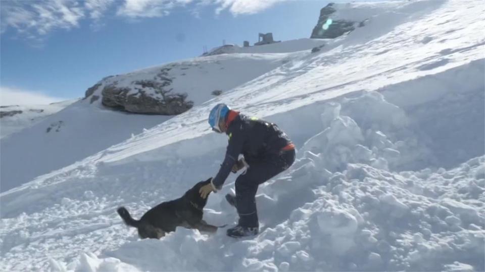 阿爾卑斯山上的「汪汪救援隊」　搜救犬培訓搶救受困民眾