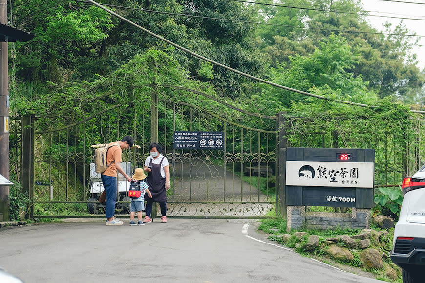 新北三峽｜熊空茶園