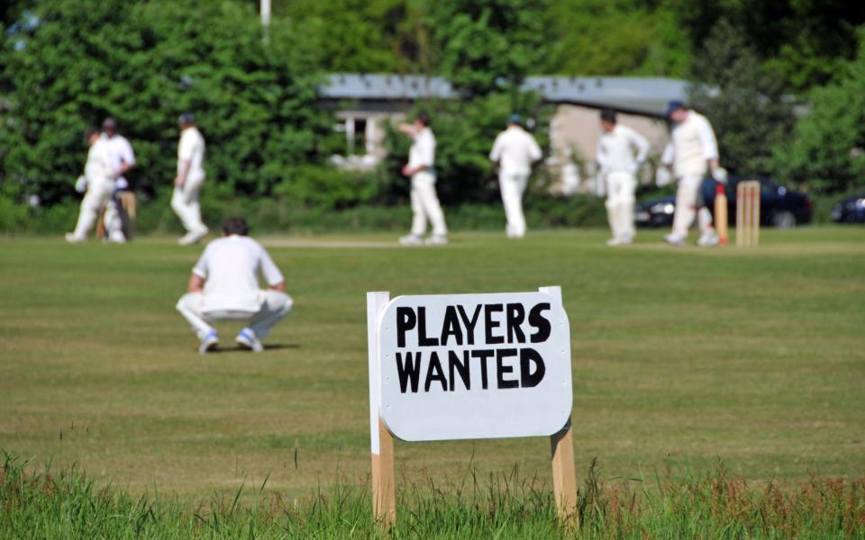 Village green cricket match and sign for players wanted - Justin Kase zsixz / Alamy