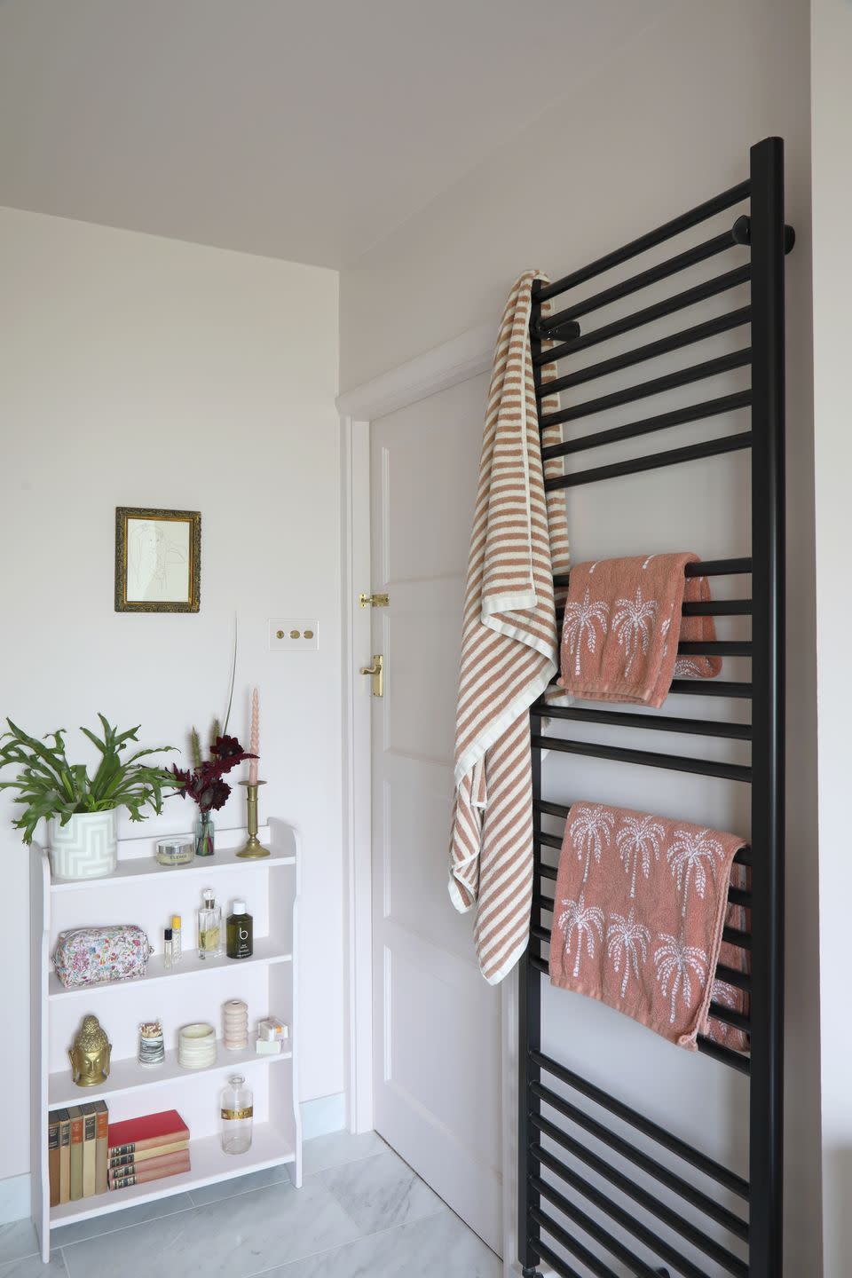 a bathroom with a door and a shelf with a plant and a towel radiator