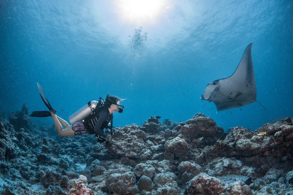 Add on! Swim with manta rays at the InterContinental Maldives Maamunagau Resort
