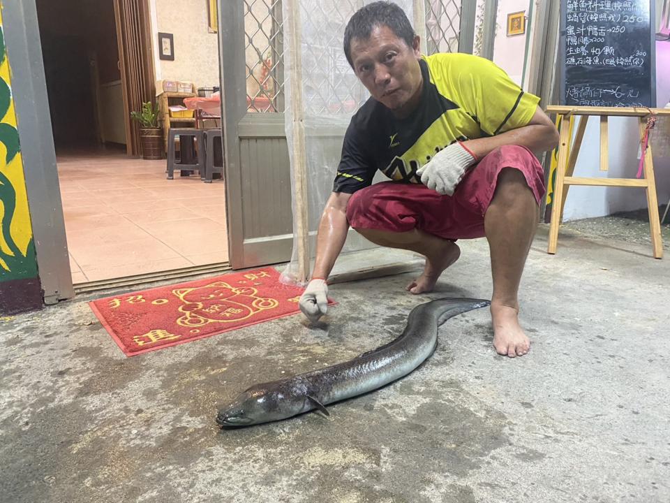 台東縣海端鄉一家餐廳賴姓老闆日前上山巡視水源時，意外捕捉到巨大野生鱸鰻；經丈量體長130公分、重18公斤，推估逾10歲。（中央社／民眾提供）