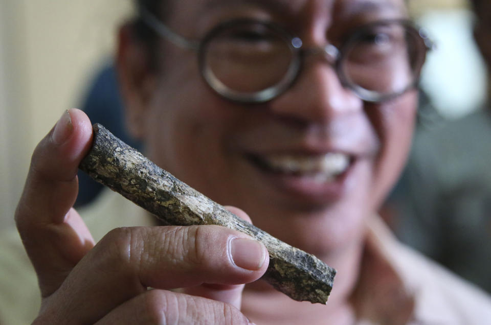 Filipino archeologist Armand Salvador Mijares shows a femur bone, one of those they recovered from Callao Cave belonging to a new specie they called Homo luzonensis, during a press conference in metropolitan Manila, Philippines on Thursday, April 11, 2019. Fossil bones and teeth found in Cagayan province, northern Philippines, have revealed a long-lost cousin of modern people, which evidently lived around the time our own species was spreading to Africa to occupy the rest of the world. (AP Photo/Aaron Favila)