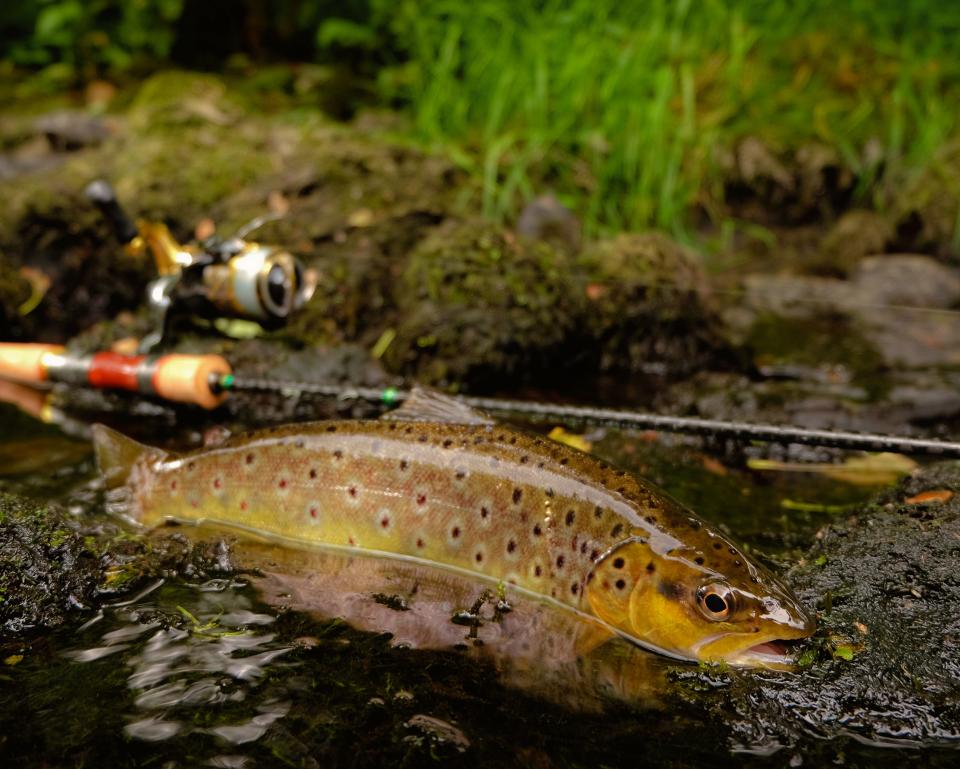 The Department of Environmental Conservation has proposed changes in fishing regulations it hopes will simplify them and making angling more accessible.