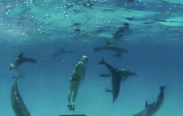 The man's dolphin tail flipper excited the mammals in a way they'd never seen before. Photo: YouTube