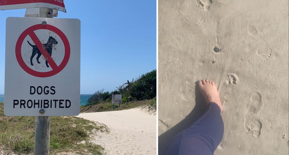 Left, 'Dogs prohibited' sign at beach. Right, Maxine's foot can be seen in the sand beside the dog print. 