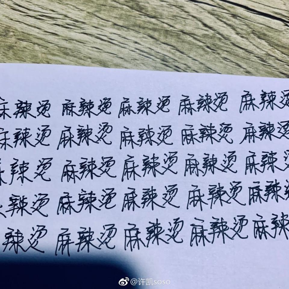 許凱自行罰抄。