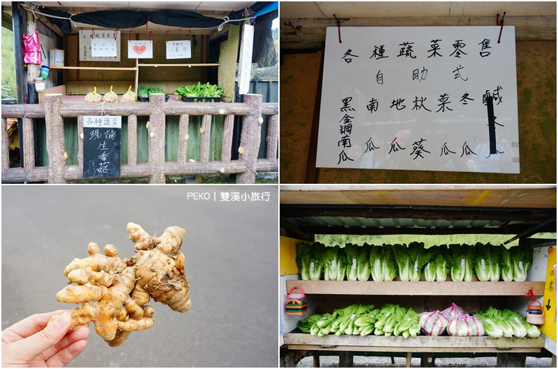 雙溪小旅行.新北一日遊.雙溪螢火蟲.雙溪山水綠境民宿.雙溪火車站.新北小旅行.壽山宮農夫市集.良心菜攤.