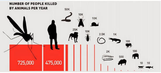 圖說：與其他動物導致的死亡人數相比，「被鯊魚殺死」的人類其實寥寥可數。圖／<a href="http://www.congratulafins.org/" rel="nofollow noopener" target="_blank" data-ylk="slk:Congratulafins;elm:context_link;itc:0;sec:content-canvas" class="link ">Congratulafins</a>