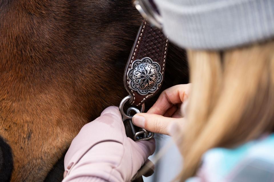 Janelle Haynes helps get one of the horses ready before a skijoring event, part of the Salt Lake Winter Roundup, on West Temple in downtown Salt Lake City on Saturday, Feb. 10, 2024. | Megan Nielsen, Deseret News