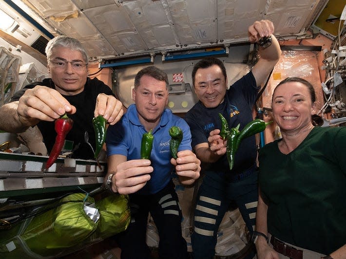 (left to right) Vande Hei with Shane Kimbrough, Akihiko Hoshide, and Megan McArthur, pose with chile peppers grown in space for the first time aboard the International Space Station.