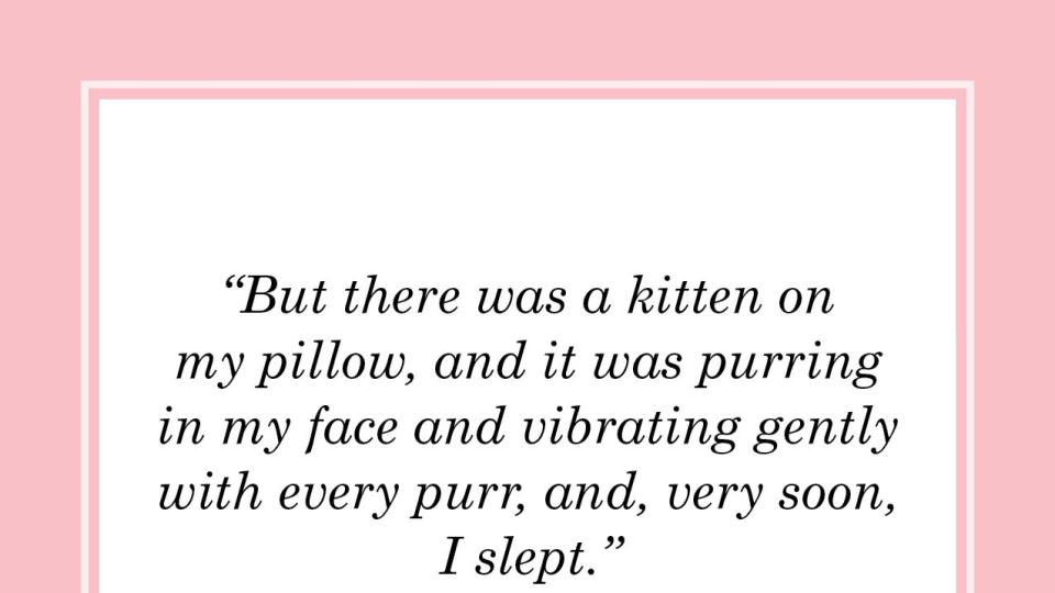 cat quote about purring by neil gaiman