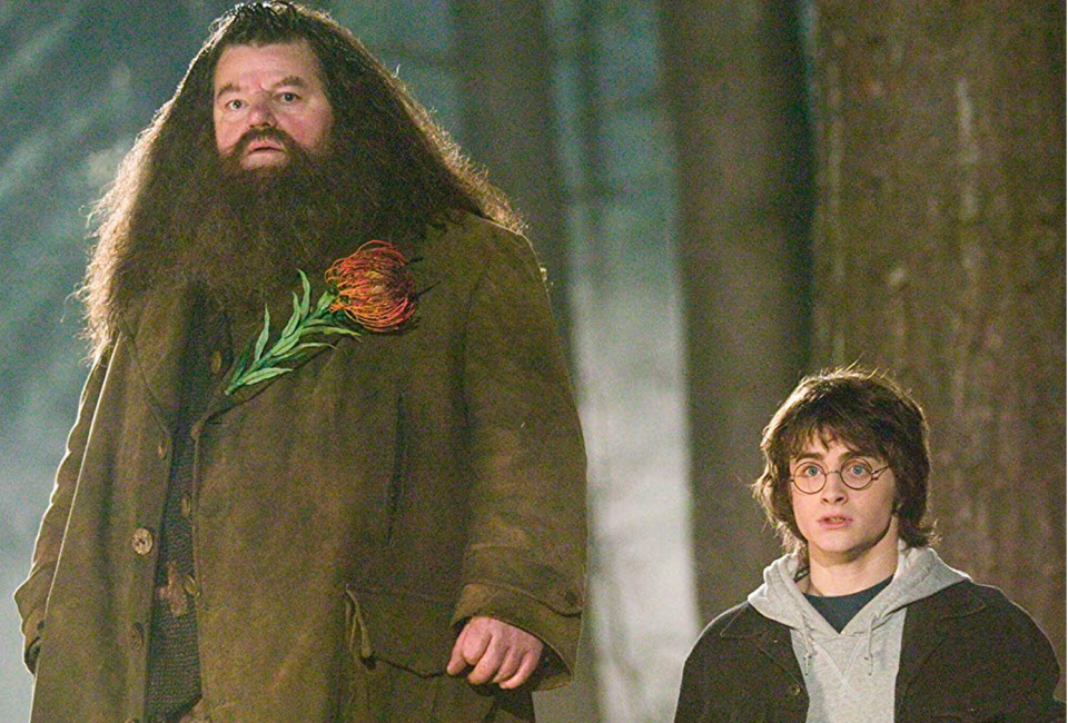 Hagrid y Harry Potter / Cortesía