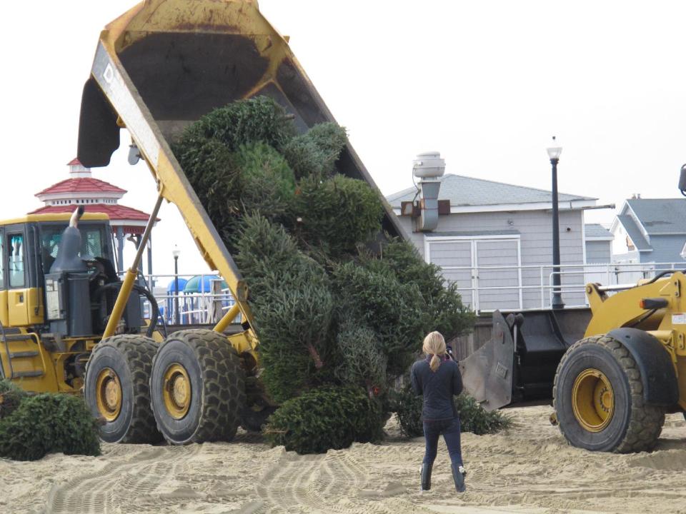 File - In this Jan. 14, 2013 file photo, a public works employee dumps a truckload of discarded Christmas trees on the beach as part of a project to rebuild dunes damaged by Superstorm Sandy, in Bradley Beach, N.J. Bradley Beach came through Superstorm Sandy in better shape than some other coastal towns in part because of its dunes. The governor had harsh words for oceanfront property owners along the Jersey shore who are refusing to let governments carry out protective dune projects because the work will affect their oceanfront views, calling them "extremely selfish and short-sighted." (AP Photo/Wayne Parry)