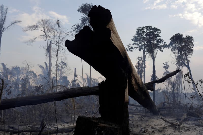 FILE PHOTO: A burning tract of the Amazon forest as it is cleared by farmers, in Rio Pardo