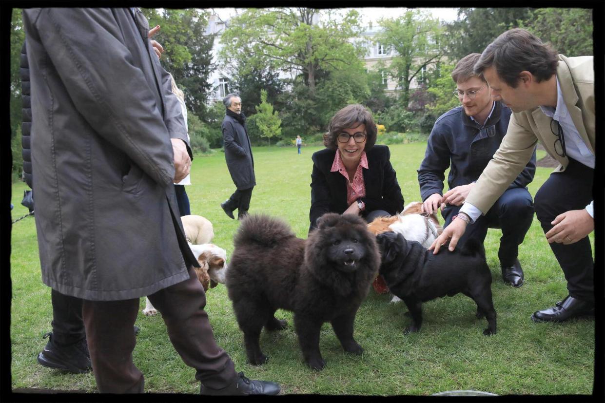 Rachida Dati en compagnie du chien du Premier ministre Gabriel Attal, le Chow-Chow Volta, mercredi 24 avril.