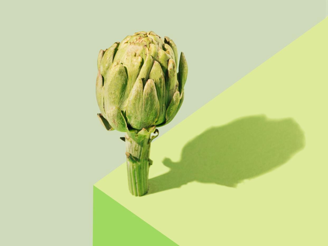 Minimal arrangement of one artichoke standing alone. Beautiful three shaded of green background.