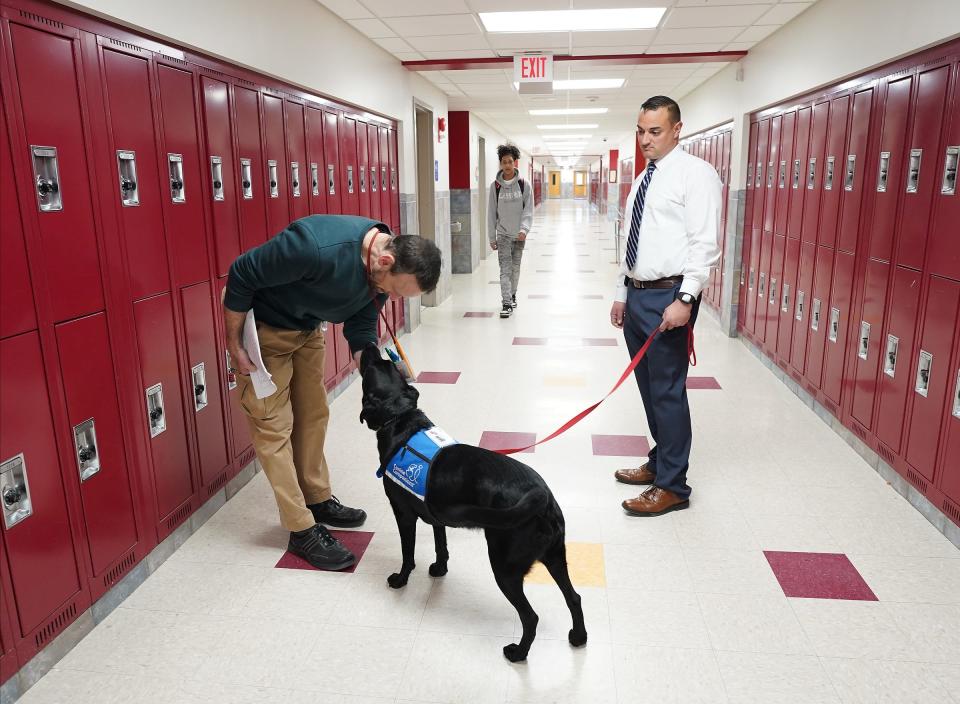 Teacher Mike Morlino with facility dog Maybie, stops to say hello to a teacher in the hallways of Fieldstone Middle School in Thiells on Thursday, November 2023.