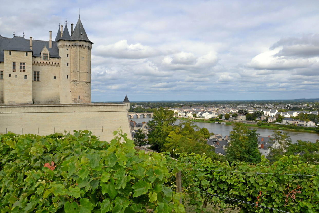 Blancs secs, rosés fruités et rouges souples et vifs s'adaptent bien à l'apéritif et à la cuisine.  - Credit:DR INTERLOIRE