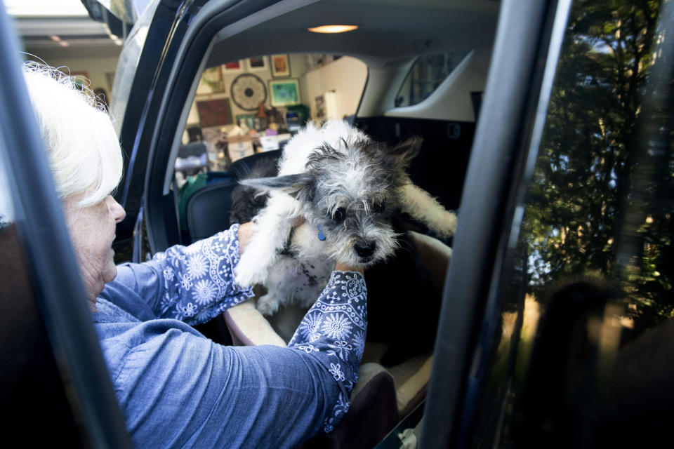 Sandy Beddow evacuates with her dog as a wildfire called the Kincade Fire burns nearby on Saturday, Oct. 26, 2019, in Healdsburg, Calif. Authorities issued evacuation orders for the town Saturday morning as the region braces for predicted strong, dry winds Saturday evening. (AP Photo/Noah Berger)