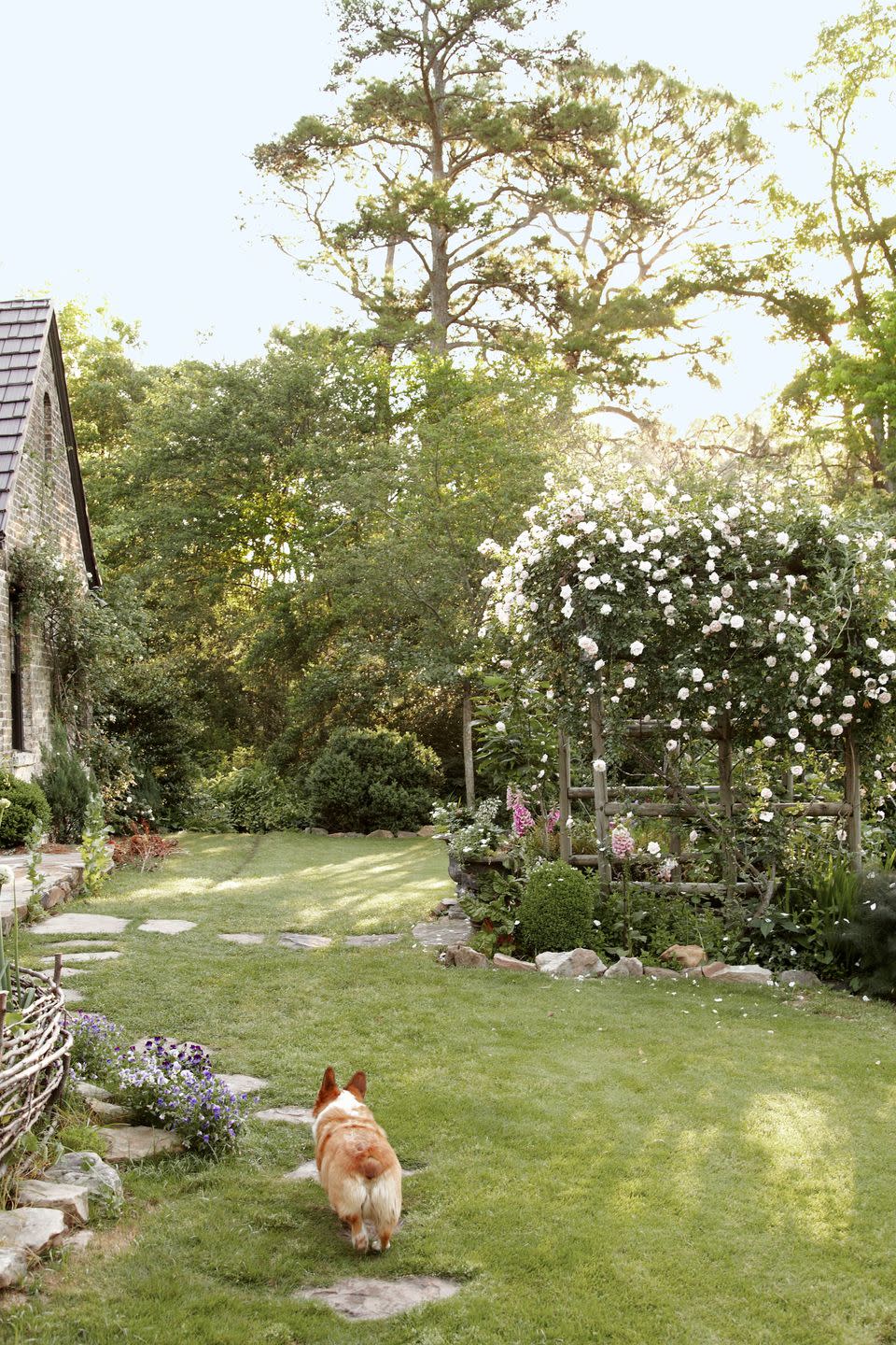 <p>Roses don't need to grow as bushes. This homeowner of this Birmingham Alabama home covered an arbor in 'New Dawn' roses, for a sweetly scented little backyard getaway.</p><p><strong><a href="https://www.countryliving.com/home-design/house-tours/g1318/tudor-house-photos/" rel="nofollow noopener" target="_blank" data-ylk="slk:Read more about this Birmingham home;elm:context_link;itc:0;sec:content-canvas" class="link ">Read more about this Birmingham home</a>.</strong></p><p><a class="link " href="https://go.redirectingat.com?id=74968X1596630&url=https%3A%2F%2Fwww.wayfair.com%2Foutdoor%2Fpdp%2Foutsunny-garden-arch-trellis-551-w-x-236-d-wood-arbor-otsu1351.html&sref=https%3A%2F%2Fwww.countryliving.com%2Fgardening%2Fgarden-tours%2Fg1432%2Flandscaping-ideas%2F" rel="nofollow noopener" target="_blank" data-ylk="slk:SHOP ARBORS;elm:context_link;itc:0;sec:content-canvas">SHOP ARBORS</a></p>