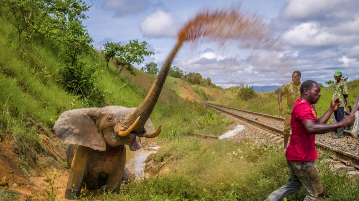  Prince Albert II of Monaco Foundation 2023  Environmental Photography Award 