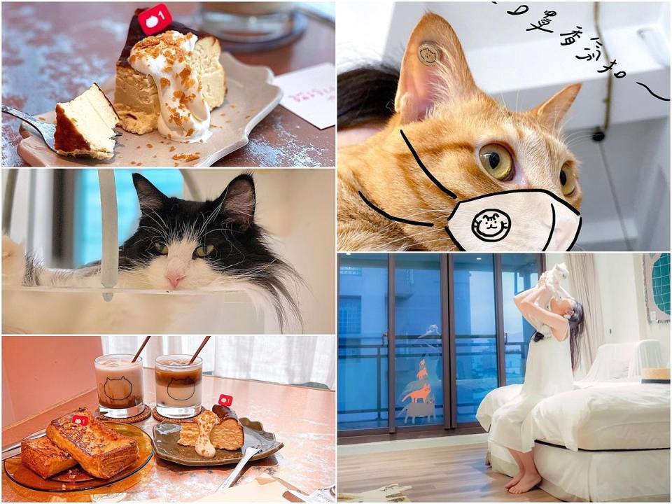 餐點、飲品店家也超級用心，到處都是滿滿的貓咪元素 Photo via：catsdayloudong、rita123438、cloudfoodie、chloe_c_yang