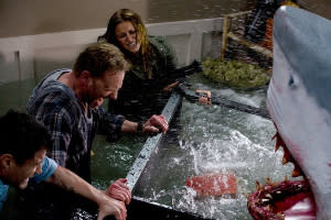 'Sharknado' Writer Spills Sequel Scenes, 1 Bone to Pick With the Movie