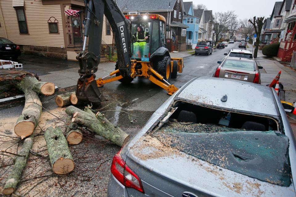 A New Bedford DPI crewmember removes the tree which fell and damaged a vehicle on Emerson Street in New Bedford due to the high winds.