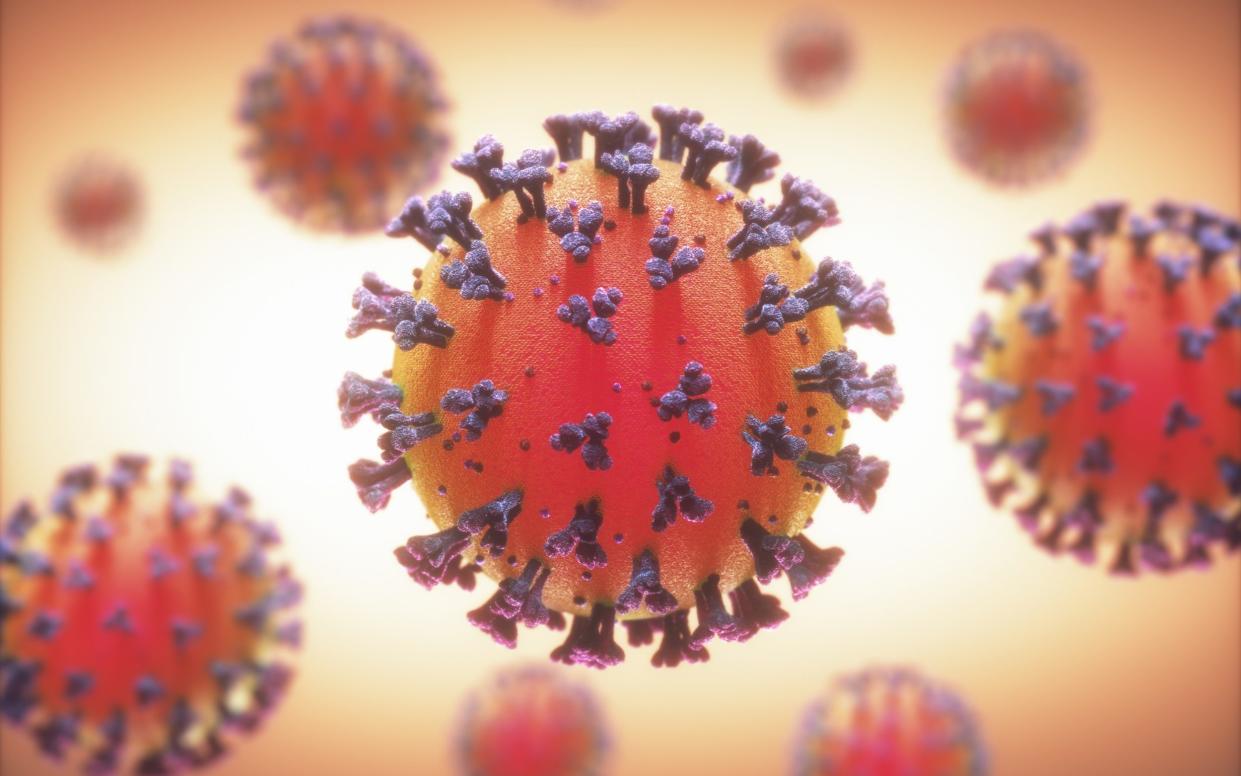 Digital illustration of a coronavirus - KTSDESIGN/SCIENCE PHOTO LIBRARY/Science Photo Library