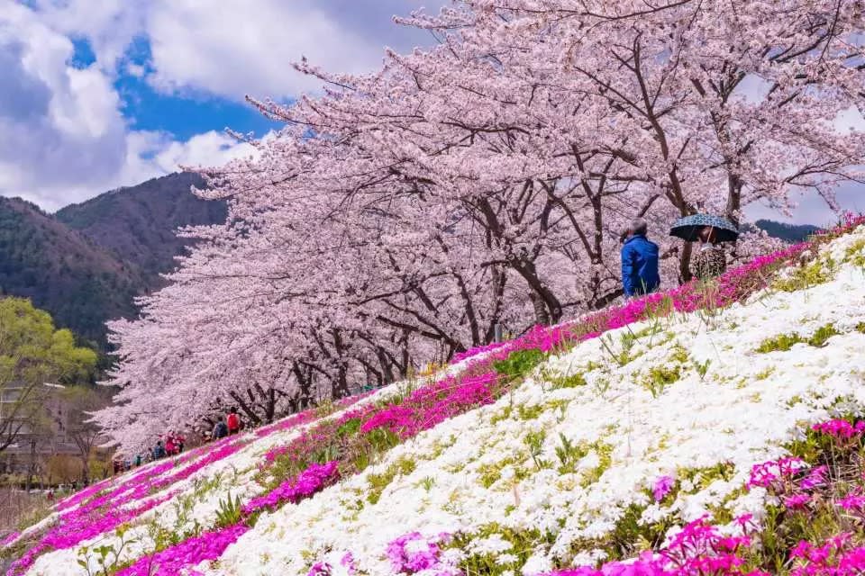 Mt. Fuji Day Tour from Tokyo: Lake Kawaguchi, Oshino Hakkai, Gotemba Outlets & Konohana no Yu | Japan. (Photo: KKday SG)