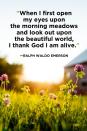 <p>"When I first open my eyes upon the morning meadows and look out upon the beautiful world, I thank God I am alive."</p>