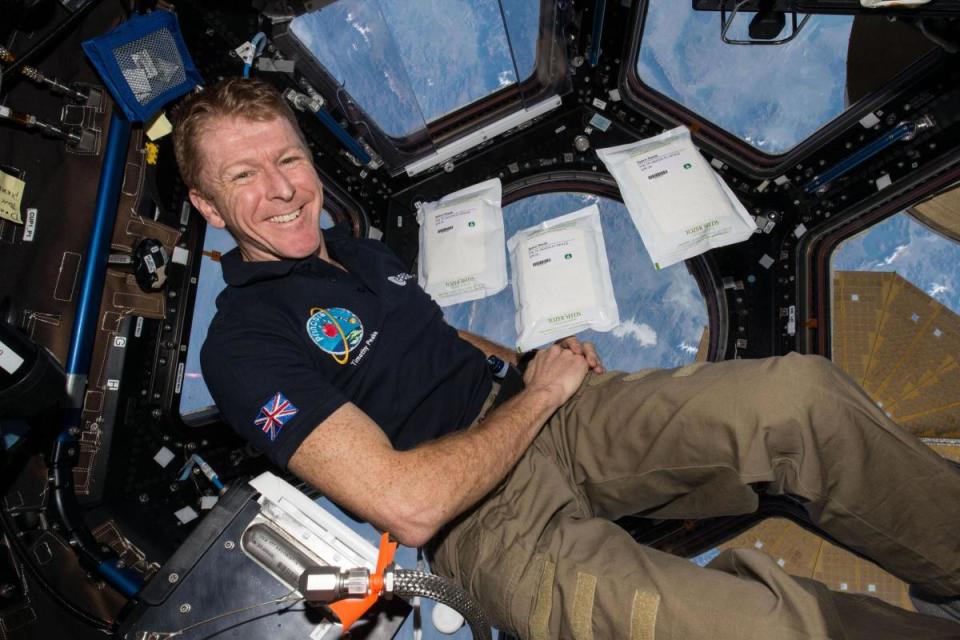 Major Tim Peake is retiring as an astronaut