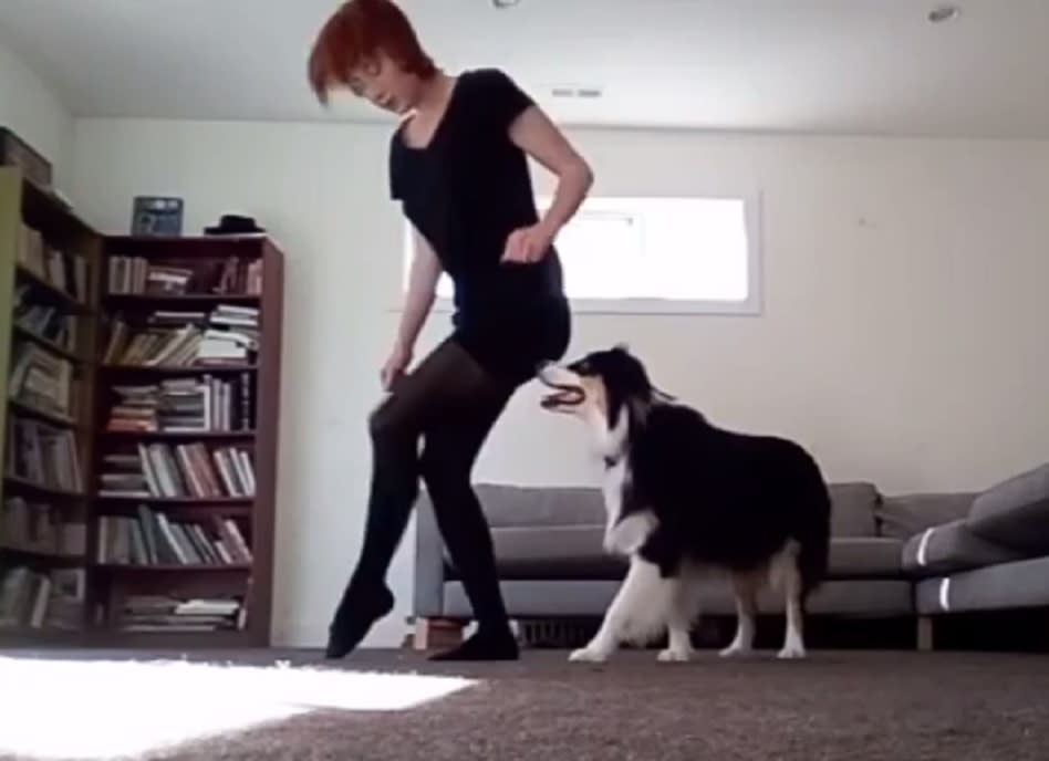 This dog learned to Irish dance, and her skills are seriously mindblowing