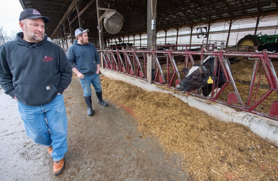 Larry Stoner, left, and his son Tyler walk past their herd of dairy cows eating between milking at Apple Valley Creamery.