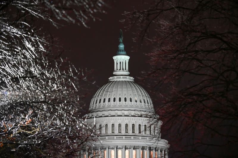 The U.S. Capitol is seen through ice-covered tree branches after the Senate voted to acquit former U.S. President Donald Trump during his impeachment trial, in Washington